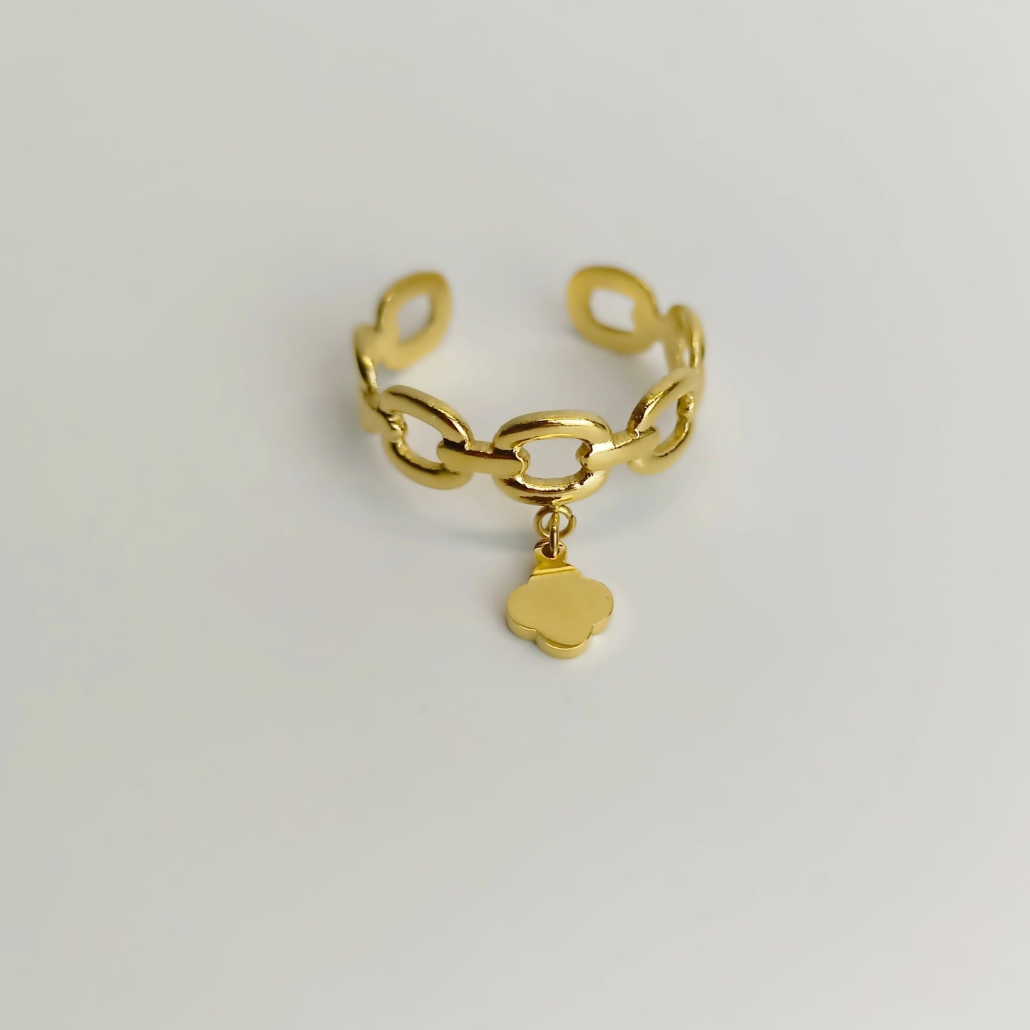 Stainless steel arinas ring